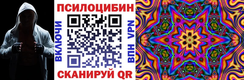 блэк спрут ТОР  Сельцо  Псилоцибиновые грибы мицелий  купить наркотики цена 